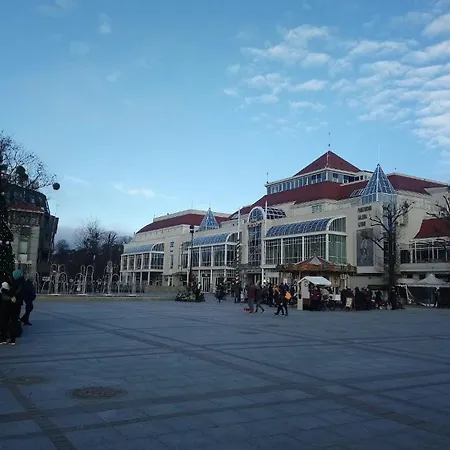 Daire Sopotceynowy Sopot