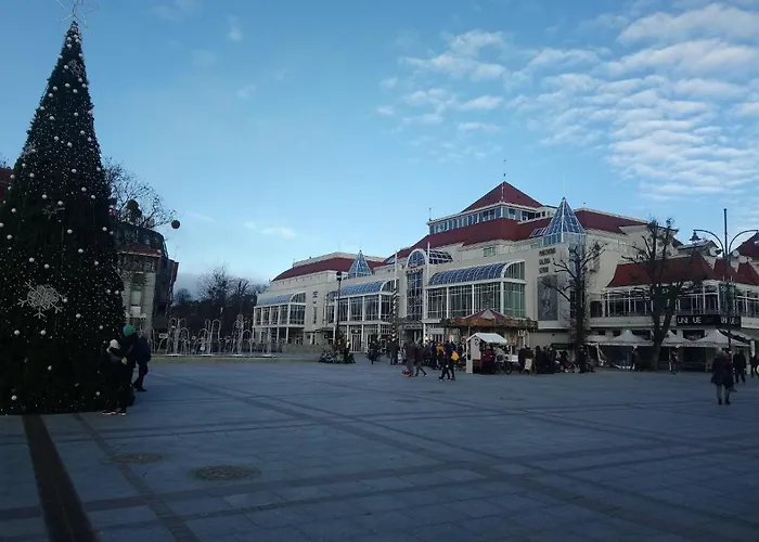 Daire Sopotceynowy Sopot